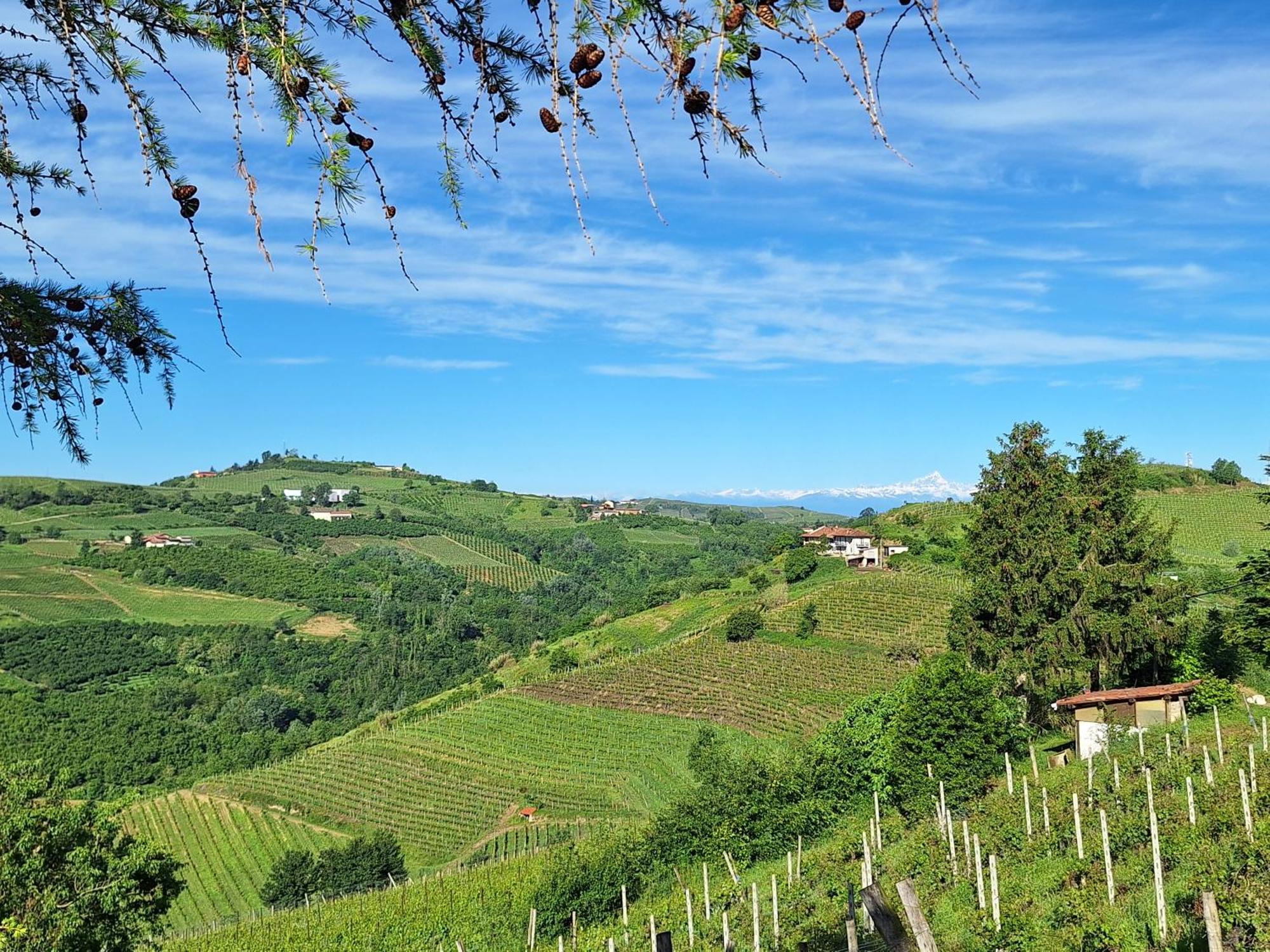 Agriturismo Ca Trinche Camo Eksteriør bilde