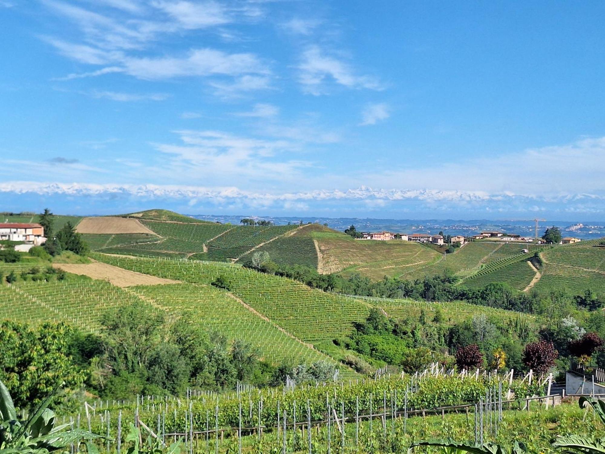 Agriturismo Ca Trinche Camo Eksteriør bilde